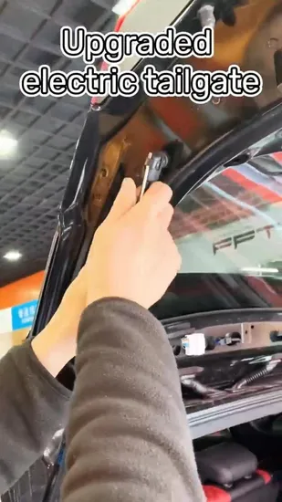 Electric Tailgate Lock for VW Multivan Tme107 Suspension System Vehicle Part Auto Accessory 