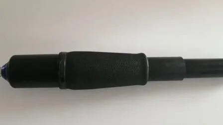 Top Quality Factory Price Air Spring Suspension Auto Spare Parts for Gmc Cadillac Chevy 25979393 25979394 22187156 