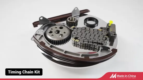 Timing Belt Kit Auto Parts VW Ford Audi Seat Vkma01014 028198119c K045223xs 